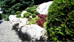 Ureditev okolice v Murski Soboti